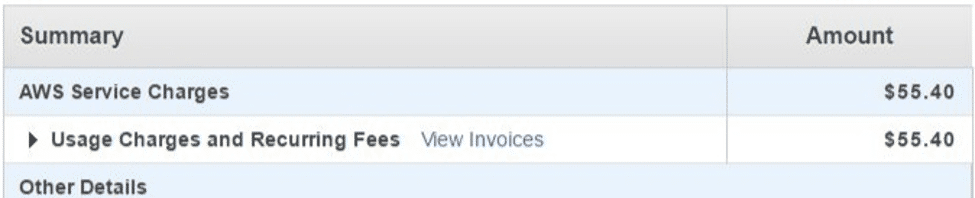 AWS-billing-pdf