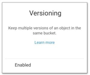 s3 versioning - multiple versions enabled