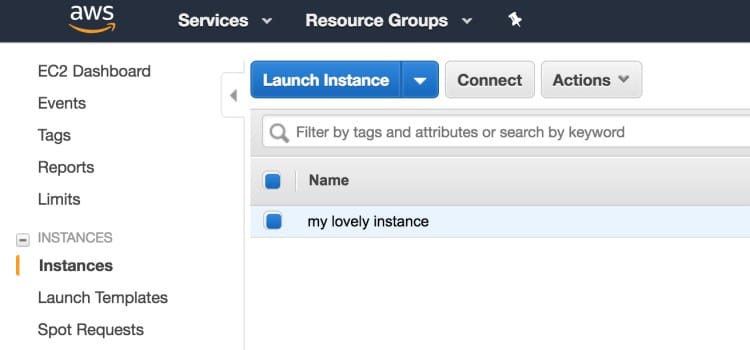 EC2 CPU Options - instance selection