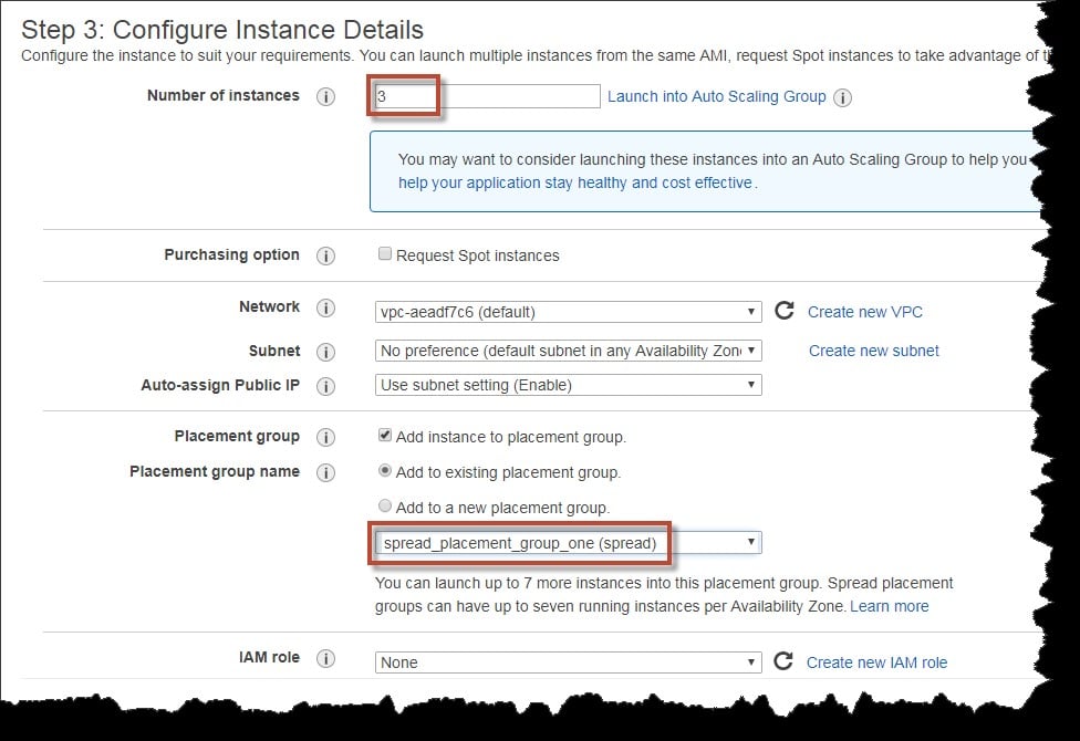 EC2 Placement Groups - configure instance details