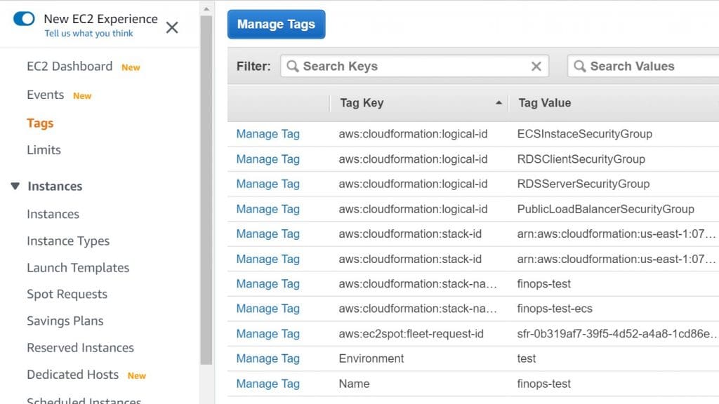 AWS Tagging - Tags Section from the Console to view all tags