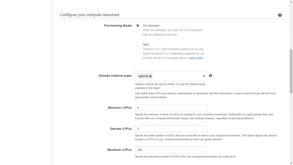 Starting with AWS Batch - Configuring Instances