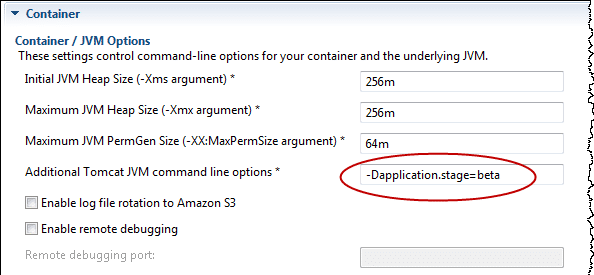 AWS Java Application - Container JVM Options