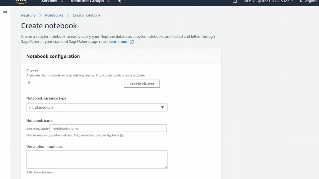 AWS Neptune Create a Notebook - Add a Cluster, Name and description