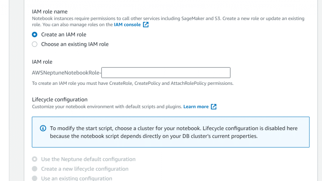 AWS Neptune Create a Notebook - Select IAM Role