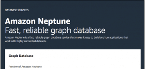AWS Neptune Parameter Group