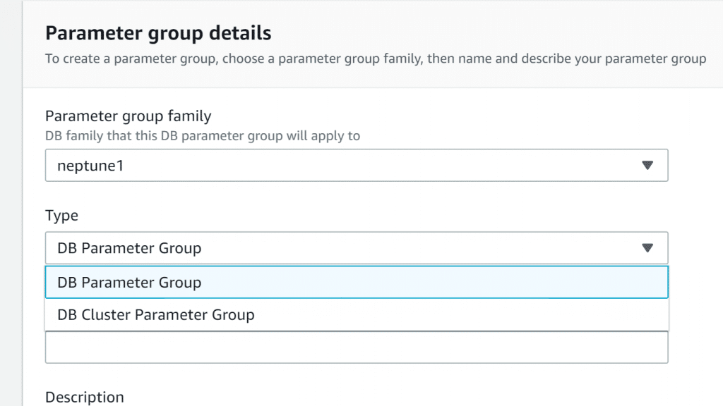 AWS Neptune Parameter Group - Enter Parameter Group Type
