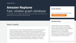 Neptune DB Cluster