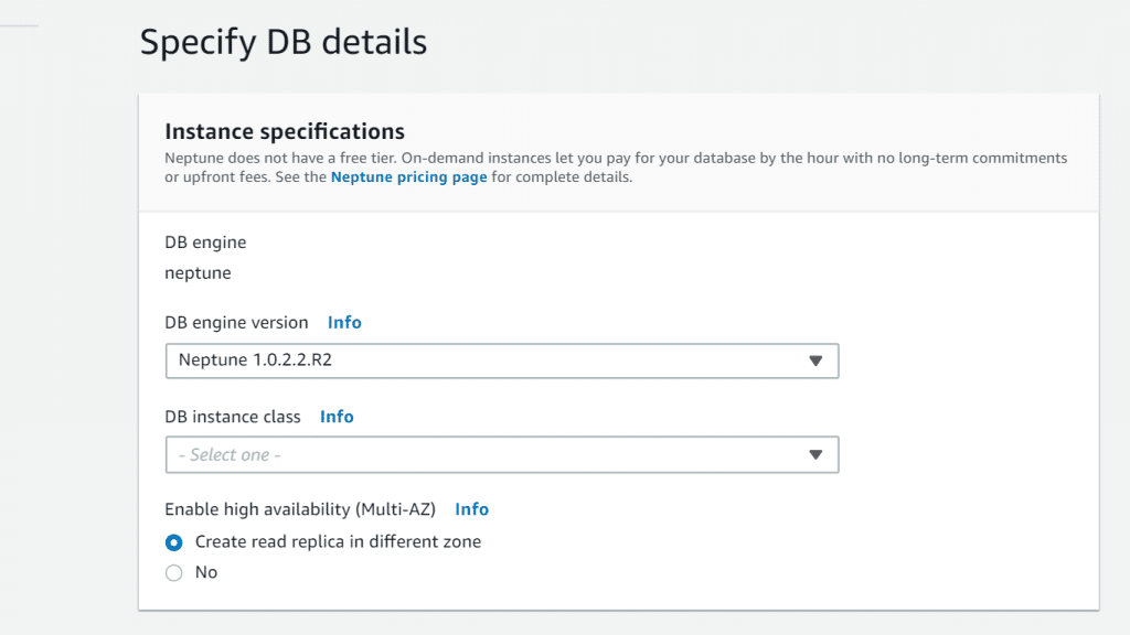 Neptune DB Cluster - DB Details