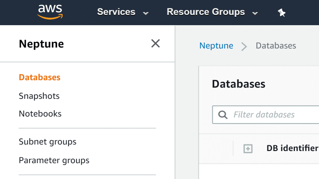 Neptune DB Cluster - Databases Page