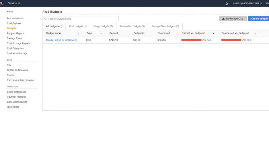 AWS Account Information - Billing and Cost Management Console