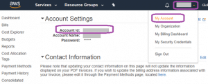 Step-by-Step Tutorial for AWS Account Information