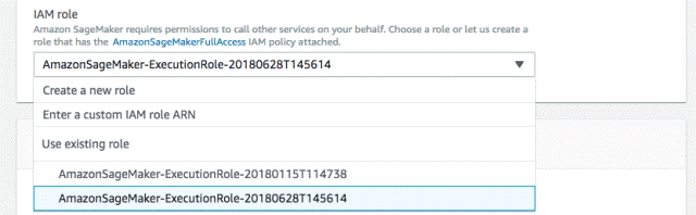 Create A Model - Select Existing IAM Role