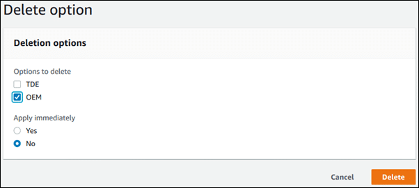 AWS RDS Option Group - Delete Option