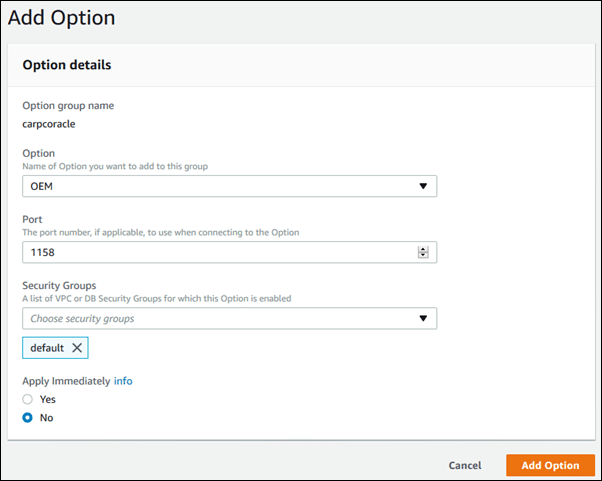 AWS RDS Option Group - Option Details